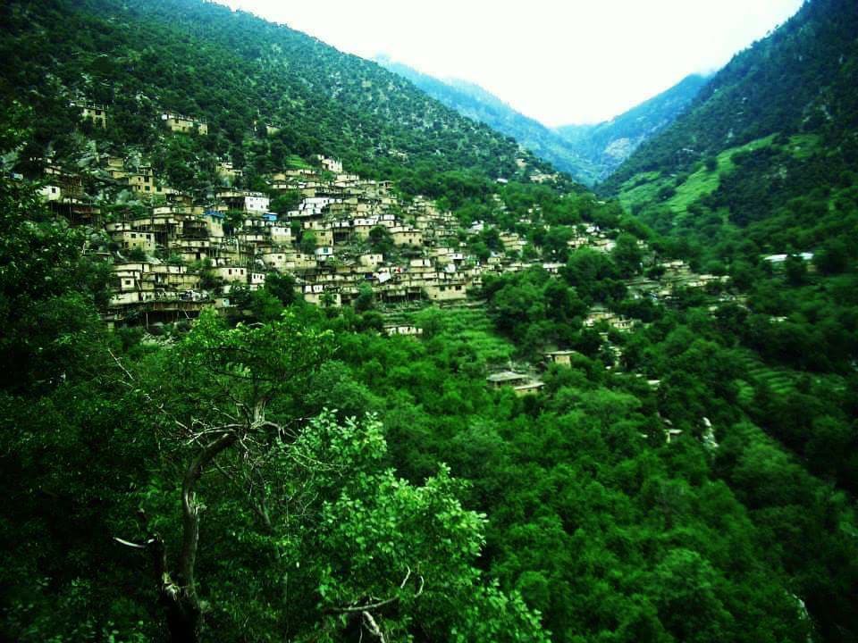 Read more about the article Nuristan National Park